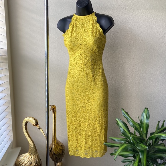 Zara Yellow Lace Overlay Dress - Picture 7 of 15